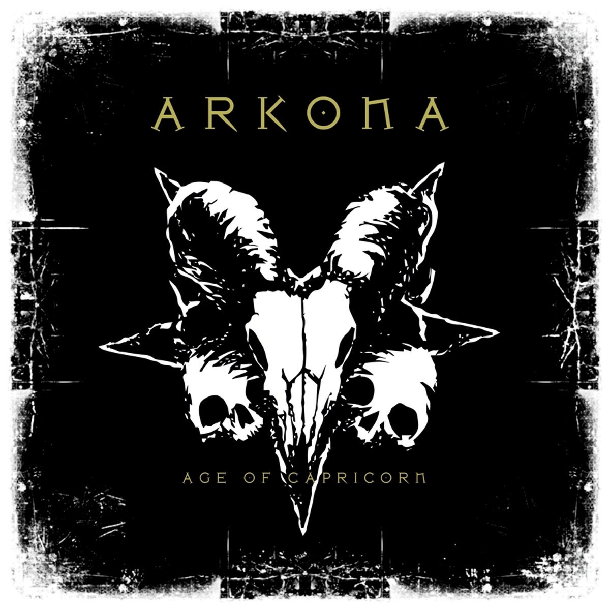 Home | arkona - official website
